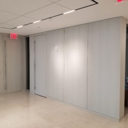 55 Hudson Yards- Executive Office